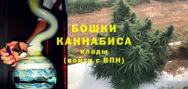 PSILOCYBIN Беломорск