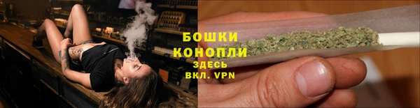PSILOCYBIN Беломорск