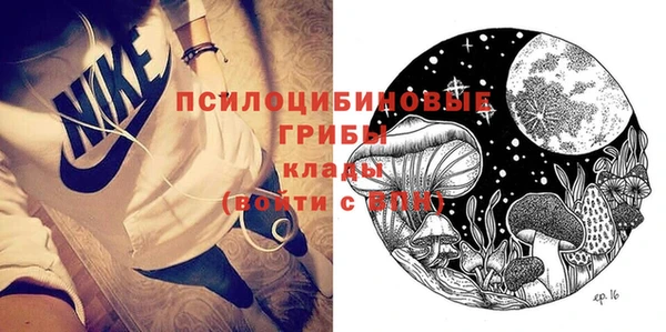 spice Белокуриха