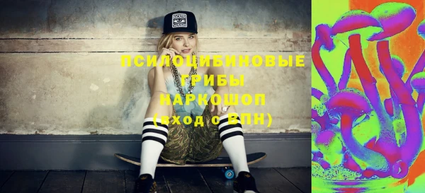 PSILOCYBIN Беломорск