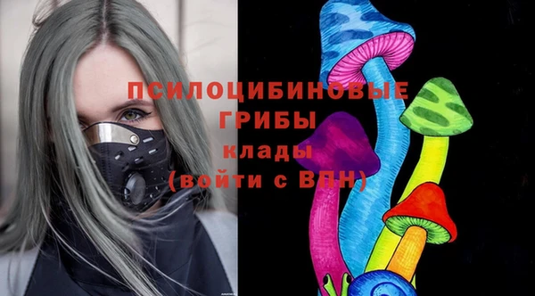spice Белокуриха