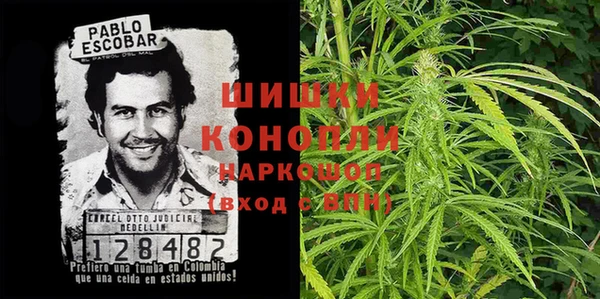 PSILOCYBIN Беломорск