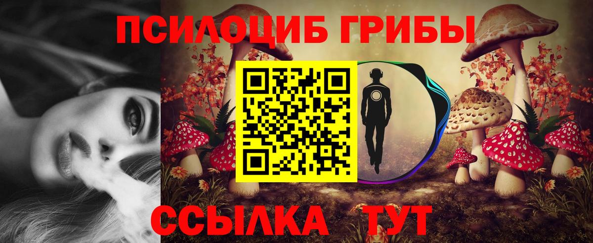 Псилоцибиновые грибы прущие грибы Воскресенск