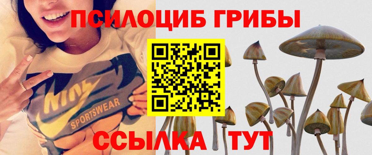 наркота  Вход с VPN  Псилоцибиновые грибы мицелий  Воскресенск  Псилоцибиновые грибы Psilocybine cubensis 